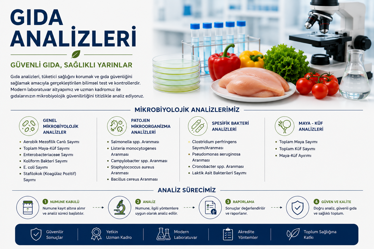 GIDA ANALİZLERİ